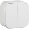Выключатель LEGRAND двухклавишный 10 A 250 B Quteo IP 20 Белый 782202